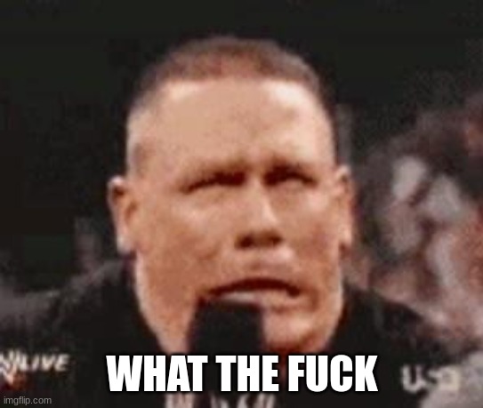 John Cena Shit Taking | WHAT THE FUCK | image tagged in john cena shit taking | made w/ Imgflip meme maker