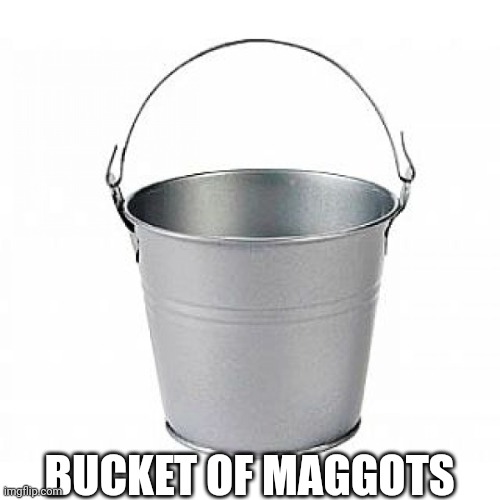 Bucket Of Maggots | BUCKET OF MAGGOTS | image tagged in bucket of nope,maggots,tf2,team fortress 2,memes,funny | made w/ Imgflip meme maker