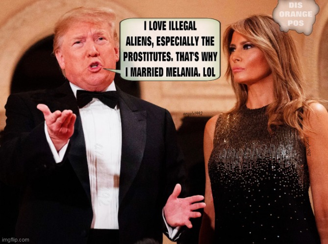 weirdo creep trumps | image tagged in melania trump,donald trump is an idiot,prostitute,illegal aliens,clown car republicans,scumbag republicans | made w/ Imgflip meme maker