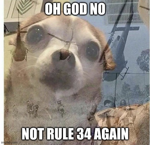 PTSD Chihuahua | OH GOD NO NOT RULE 34 AGAIN | image tagged in ptsd chihuahua | made w/ Imgflip meme maker