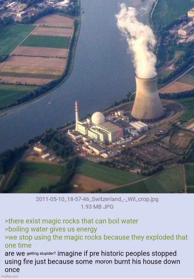 i had to replace the R-word a few times, but ye | getting stupider? moron | image tagged in nuclear power,memes | made w/ Imgflip meme maker