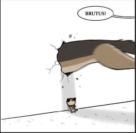 High Quality Brutus Wall Smash Blank Meme Template