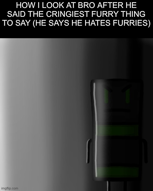 LIAR!!! | HOW I LOOK AT BRO AFTER HE SAID THE CRINGIEST FURRY THING TO SAY (HE SAYS HE HATES FURRIES) | image tagged in green_ender stare,meme,anti furry,furry,bro,cringe | made w/ Imgflip meme maker