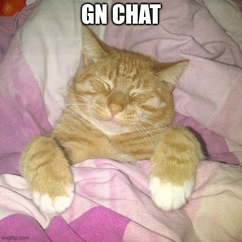 Eepy | GN CHAT | image tagged in eepy | made w/ Imgflip meme maker