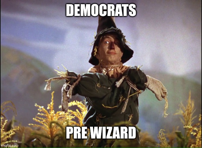 Wizard of Oz Scarecrow which way | DEMOCRATS PRE WIZARD | image tagged in wizard of oz scarecrow which way | made w/ Imgflip meme maker