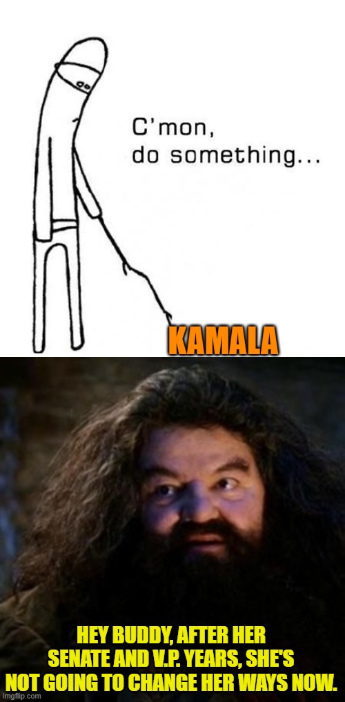 Doing nothing while claiming she's done everything IS her political modus operandi. | KAMALA; HEY BUDDY, AFTER HER SENATE AND V.P. YEARS, SHE'S NOT GOING TO CHANGE HER WAYS NOW. | image tagged in cmon do something | made w/ Imgflip meme maker