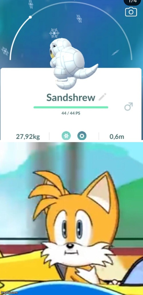 Is Alola-Sandshrew Tails's Brother? I... have no idea what happened to his tail. | image tagged in tails hold up,sandshrew,tails | made w/ Imgflip meme maker