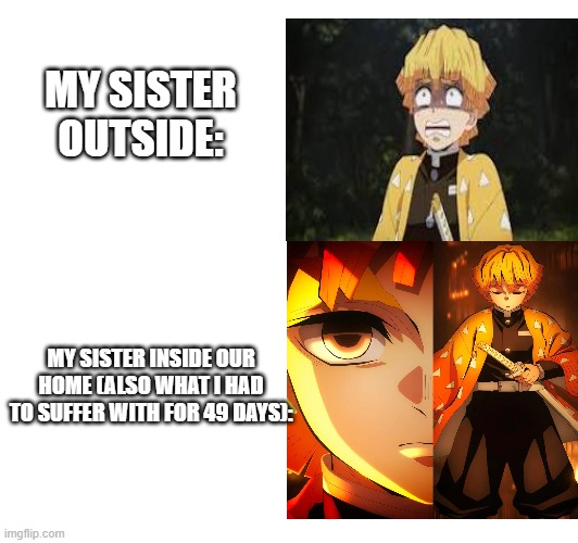 my sister inside and outside | MY SISTER OUTSIDE:; MY SISTER INSIDE OUR HOME (ALSO WHAT I HAD TO SUFFER WITH FOR 49 DAYS): | image tagged in demon slayer,zenitsu,sister,relatable memes | made w/ Imgflip meme maker