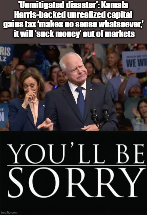 Some day you'll look back and say " Yep biggest mistake of my life voting for them " | 'Unmitigated disaster': Kamala Harris-backed unrealized capital gains tax ‘makes no sense whatsoever,’  it will ‘suck money’ out of markets | image tagged in tim walz and kamala harris | made w/ Imgflip meme maker