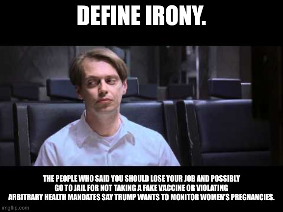 When lefties bring up Project 2025 | DEFINE IRONY. THE PEOPLE WHO SAID YOU SHOULD LOSE YOUR JOB AND POSSIBLY GO TO JAIL FOR NOT TAKING A FAKE VACCINE OR VIOLATING ARBITRARY HEALTH MANDATES SAY TRUMP WANTS TO MONITOR WOMEN’S PREGNANCIES. | image tagged in define irony | made w/ Imgflip meme maker