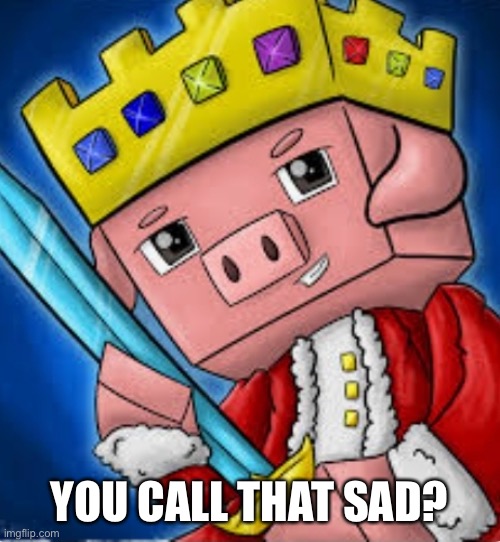 Technoblade's channel icon | YOU CALL THAT SAD? | image tagged in technoblade's channel icon | made w/ Imgflip meme maker