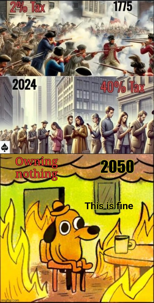 "You will own nothing and be happy" | Owning nothing; 2050; This is fine | image tagged in this is fine,taxation is theft,american revolution,elite,brainwashing,agenda | made w/ Imgflip meme maker