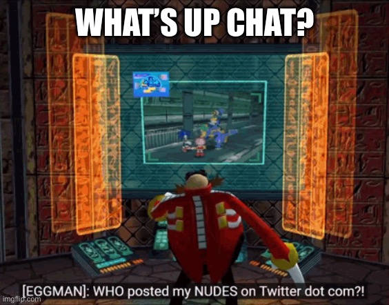 Dead stream | WHAT’S UP CHAT? | image tagged in who posted my nudes on twitter dot com | made w/ Imgflip meme maker