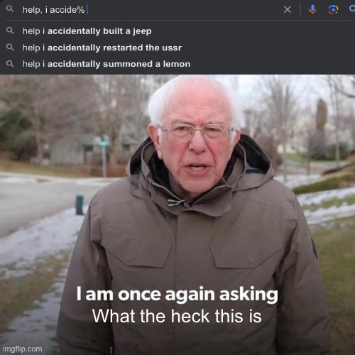 Bernie I Am Once Again Asking For Your Support Meme | What the heck this is | image tagged in memes,bernie i am once again asking for your support | made w/ Imgflip meme maker