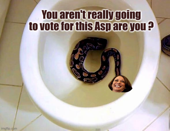 What An Asp | You aren't really going to vote for this Asp are you ? | image tagged in snake in toilet,political meme,politics,funny memes,funny,kamala harris | made w/ Imgflip meme maker