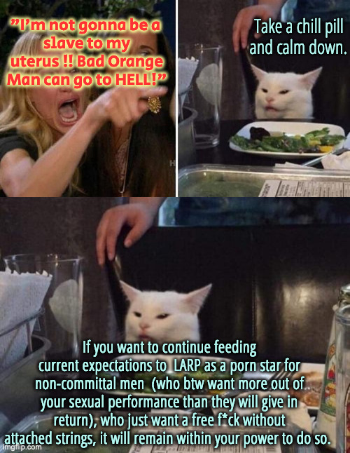 The "Liberation" of Modern Women Must Be Preserved At All Cost | If you want to continue feeding current expectations to  LARP as a porn star for non-committal men  (who btw want more out of your sexual pe | image tagged in girls vs cat,salad cat | made w/ Imgflip meme maker