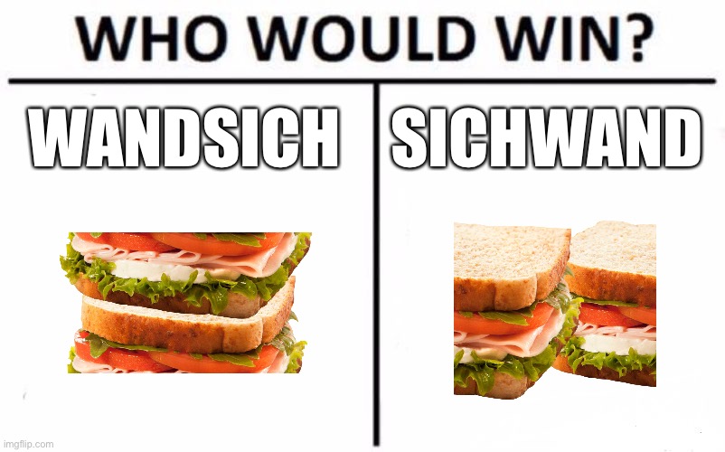 Who Would Win? | WANDSICH; SICHWAND | image tagged in memes,who would win | made w/ Imgflip meme maker