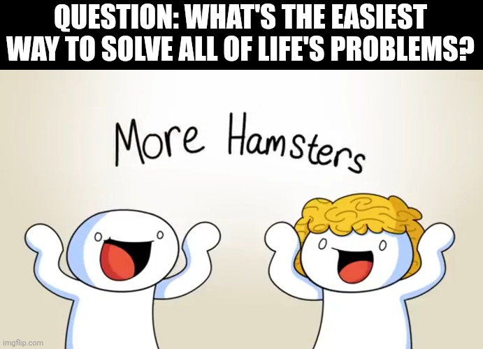 Odd1sout Explains How To Solve Life's Problems | QUESTION: WHAT'S THE EASIEST WAY TO SOLVE ALL OF LIFE'S PROBLEMS? | image tagged in theodd1sout,hamsters | made w/ Imgflip meme maker