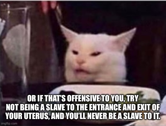 white cat | OR IF THAT’S OFFENSIVE TO YOU, TRY NOT BEING A SLAVE TO THE ENTRANCE AND EXIT OF YOUR UTERUS, AND YOU’LL NEVER BE A SLAVE TO IT. | image tagged in white cat | made w/ Imgflip meme maker