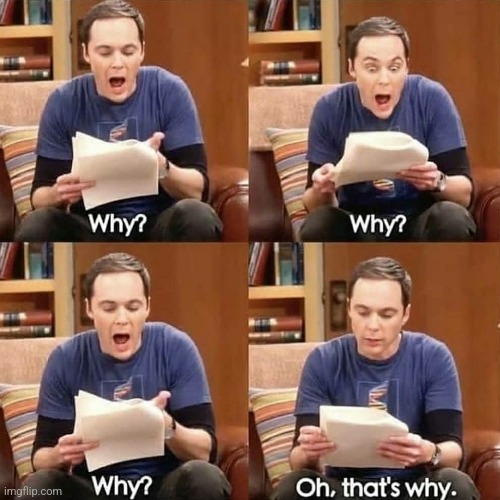 Sheldon why | image tagged in sheldon why | made w/ Imgflip meme maker