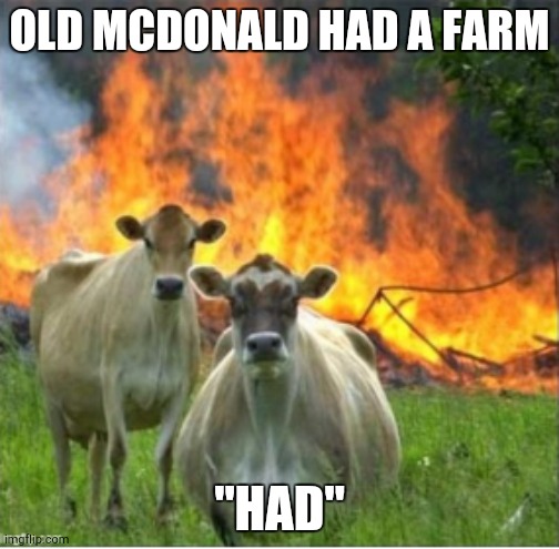 Average 2012 meme | OLD MCDONALD HAD A FARM; "HAD" | image tagged in fire,farm,sheep | made w/ Imgflip meme maker