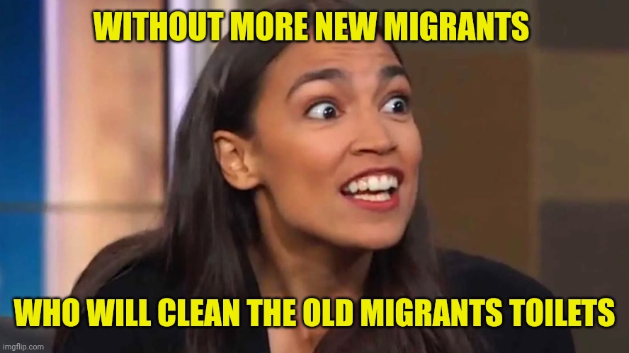 Self cleaning toilets could solve this | WITHOUT MORE NEW MIGRANTS; WHO WILL CLEAN THE OLD MIGRANTS TOILETS | image tagged in crazy aoc,illegal immigration,democrats,liberals,liberal logic | made w/ Imgflip meme maker