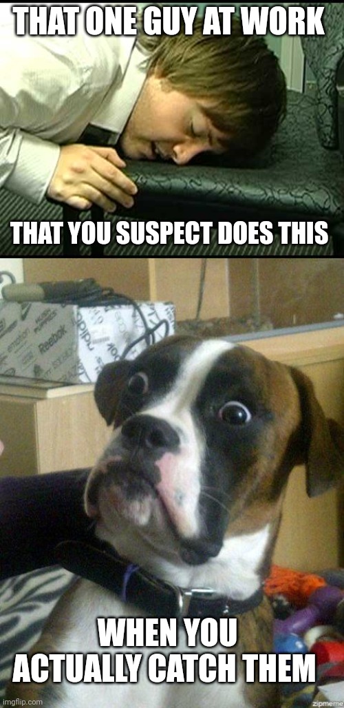 Seat sniffer meme | THAT ONE GUY AT WORK; THAT YOU SUSPECT DOES THIS; WHEN YOU ACTUALLY CATCH THEM | image tagged in funny dog | made w/ Imgflip meme maker