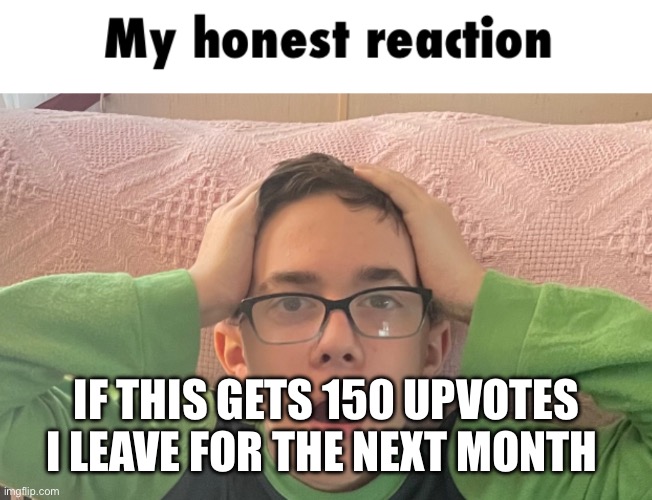 My honest reaction | IF THIS GETS 150 UPVOTES I LEAVE FOR THE NEXT MONTH | image tagged in my honest reaction | made w/ Imgflip meme maker