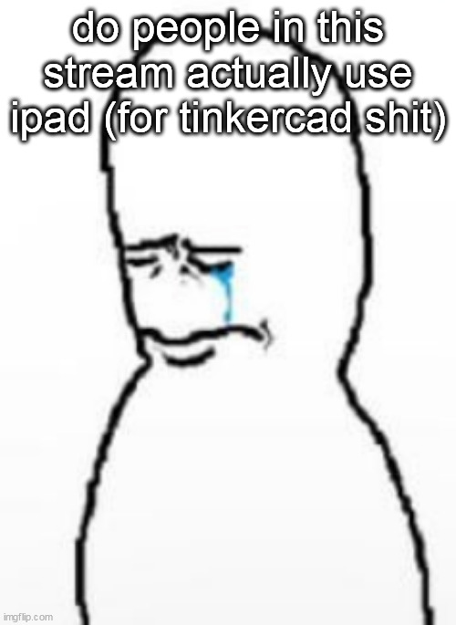 image unrelated | do people in this stream actually use ipad (for tinkercad shit) | made w/ Imgflip meme maker