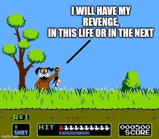 Duck is never the end | I WILL HAVE MY REVENGE,
IN THIS LIFE OR IN THE NEXT | image tagged in duck hunt dog | made w/ Imgflip meme maker