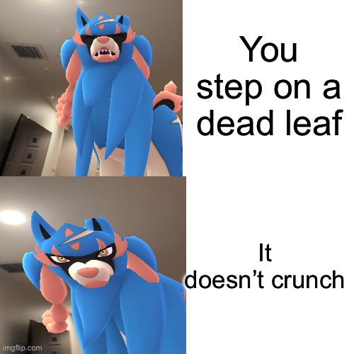 Zacian being relatable | You step on a dead leaf; It doesn’t crunch | image tagged in memes,pokemon,relatable,relatable memes,funny,zacian | made w/ Imgflip meme maker