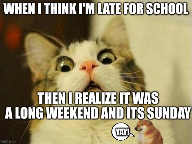 pls upvote I've only got one upvote ever and I've posted for than 100 memes | WHEN I THINK I'M LATE FOR SCHOOL; THEN I REALIZE IT WAS A LONG WEEKEND AND ITS SUNDAY; YAY! | image tagged in memes,scared cat | made w/ Imgflip meme maker