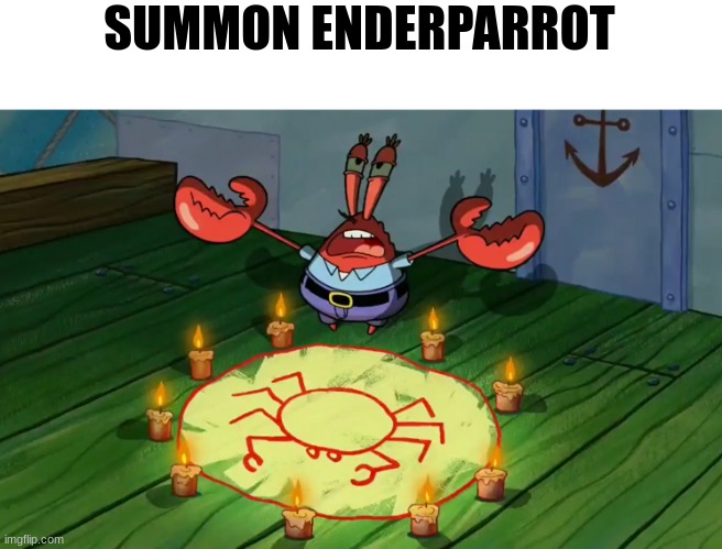 Mr Krabs summoning | SUMMON ENDERPARROT | image tagged in mr krabs summoning | made w/ Imgflip meme maker