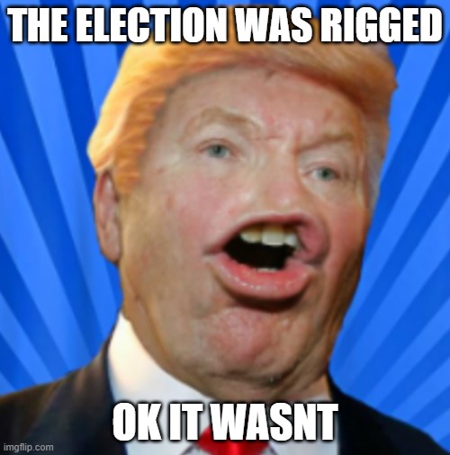 Pathetic Don | THE ELECTION WAS RIGGED; OK IT WASNT | image tagged in pathetic don | made w/ Imgflip meme maker