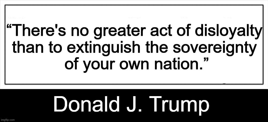 President Trump & We The People Believe in National Sovereignty | “There's no greater act of disloyalty 
than to extinguish the sovereignty 
of your own nation.”; Donald J. Trump | image tagged in politics,donald trump,we the people,sovereignty,psa,message to kamala | made w/ Imgflip meme maker