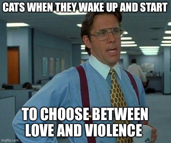 That Would Be Great | CATS WHEN THEY WAKE UP AND START; TO CHOOSE BETWEEN LOVE AND VIOLENCE | image tagged in memes,that would be great | made w/ Imgflip meme maker