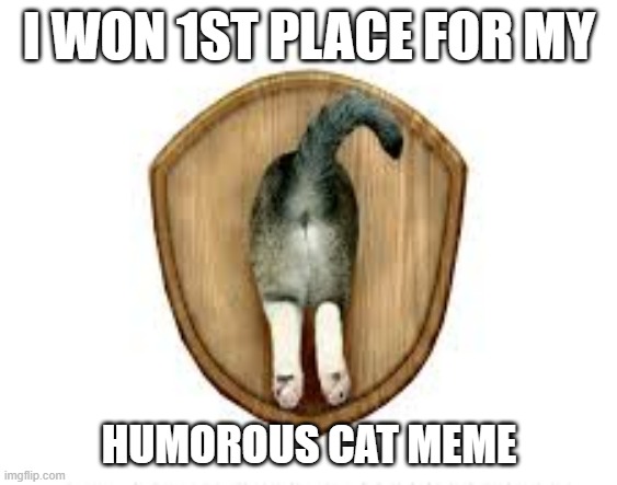 memes by Brad - I won an award for Best Cat Meme - humor - | I WON 1ST PLACE FOR MY; HUMOROUS CAT MEME | image tagged in funny,cats,kittens,trophy,funny meme,humor | made w/ Imgflip meme maker