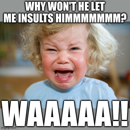 temper-tantrum | WHY WON'T HE LET ME INSULTS HIMMMMMMM? WAAAAA!! | image tagged in temper-tantrum | made w/ Imgflip meme maker