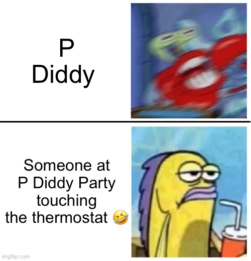 P Diddy Party | P Diddy; Someone at P Diddy Party touching the thermostat 🤣 | image tagged in excited vs bored | made w/ Imgflip meme maker