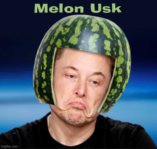 elon musk | image tagged in elon musk,watermelon,melon,elon,musk,idiot | made w/ Imgflip meme maker