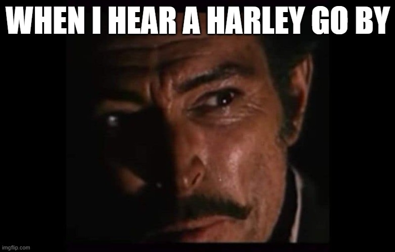 Lee Van Cleel  " WHEN I HEAR A HARLEY GO BY" | WHEN I HEAR A HARLEY GO BY | image tagged in harley | made w/ Imgflip meme maker