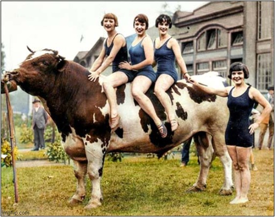 Women On Prize Bull Vancover 1927 (Colourised) | image tagged in meanwhile in canada,prize bull | made w/ Imgflip meme maker