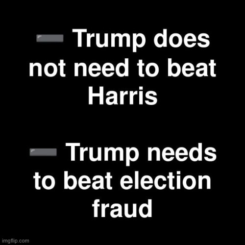 Election Fraud | image tagged in election fraud,donald trump,kamala harris,2024,cheating,free and fair elections | made w/ Imgflip meme maker