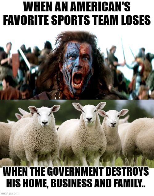 what the hell happened to us?  how did we get so pussified? | WHEN AN AMERICAN'S FAVORITE SPORTS TEAM LOSES; WHEN THE GOVERNMENT DESTROYS HIS HOME, BUSINESS AND FAMILY.. | image tagged in stupid people,weak,political meme,funny meme,political humor | made w/ Imgflip meme maker