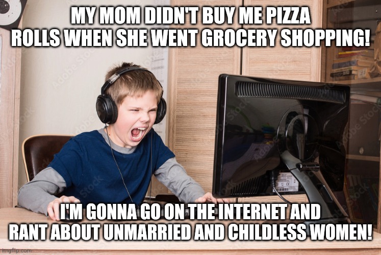 I'm pretty sure some users in the conservatives stream are just stupid kids ranting about nothing | MY MOM DIDN'T BUY ME PIZZA ROLLS WHEN SHE WENT GROCERY SHOPPING! I'M GONNA GO ON THE INTERNET AND RANT ABOUT UNMARRIED AND CHILDLESS WOMEN! | image tagged in conservatives,stupidity,basement dweller,incel,maga,trump supporters | made w/ Imgflip meme maker