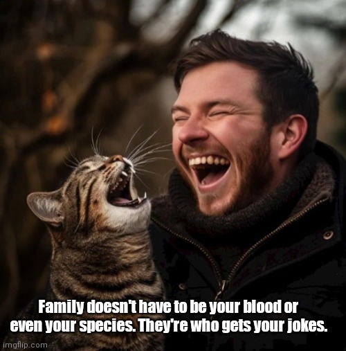 Laughing cats | Family doesn't have to be your blood or even your species. They're who gets your jokes. | image tagged in funny | made w/ Imgflip meme maker