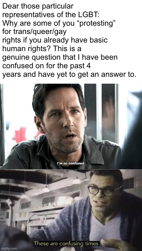 This is not meant to attack anyone or target specific people. I’m just curious. | Dear those particular representatives of the LGBT: Why are some of you “protesting” for trans/queer/gay rights if you already have basic human rights? This is a genuine question that I have been confused on for the past 4 years and have yet to get an answer to. | image tagged in i'm so confused these are confusing times ant-man and hulk,politics,liberals,lgbtq,rights,bill of rights | made w/ Imgflip meme maker