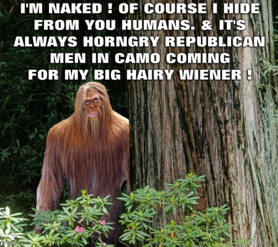 creepy weirdo republicans | image tagged in bigfoot,sasquatch,forest,cryptozoology,camouflage,clown car republicans | made w/ Imgflip meme maker