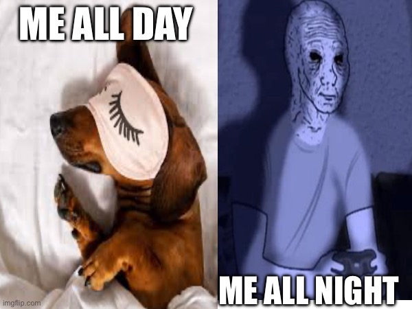 The way of life | ME ALL DAY; ME ALL NIGHT | image tagged in relatable | made w/ Imgflip meme maker