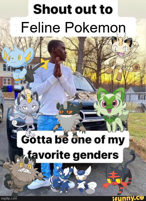 gotta be one of my favorite genders | Feline Pokemon | image tagged in gotta be one of my favorite genders | made w/ Imgflip meme maker